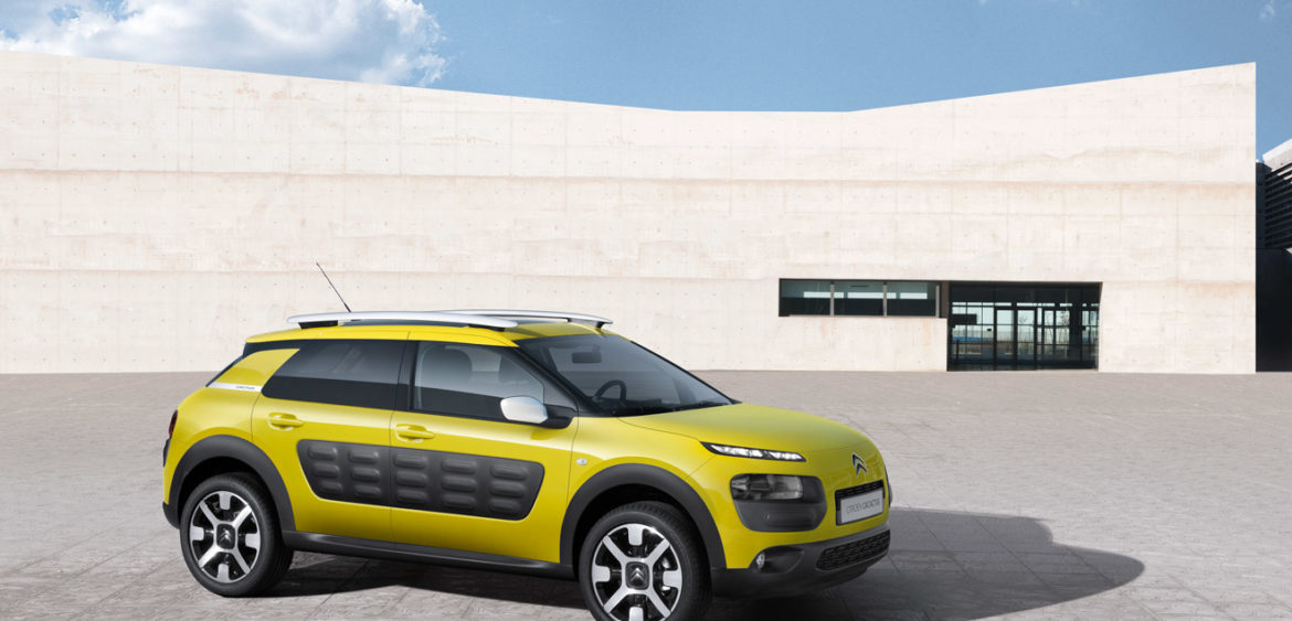 Nouveau C4 Cactus