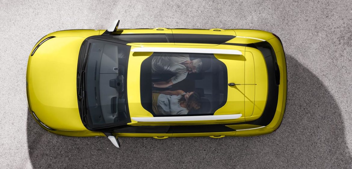 Nouveau C4 Cactus
