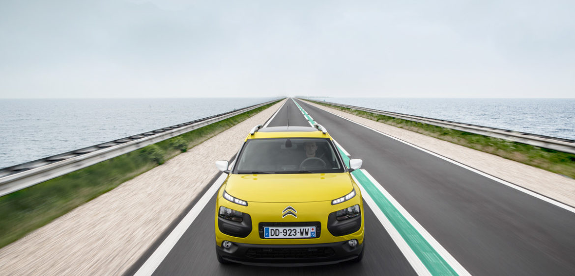 Nouveau C4 Cactus