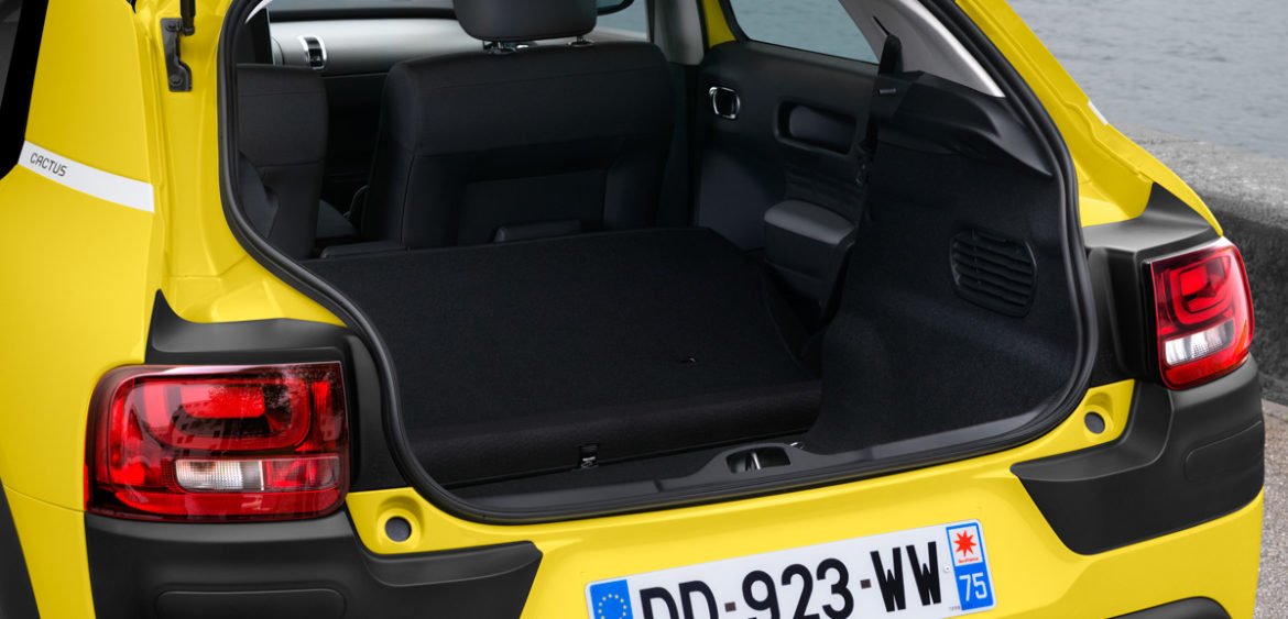 Nouveau C4 Cactus